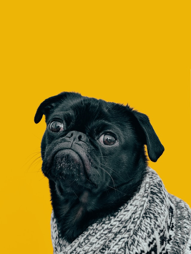 charlesdeluvio-Mv9hjnEUHR4-unsplash The ultimate task management system for monday.com